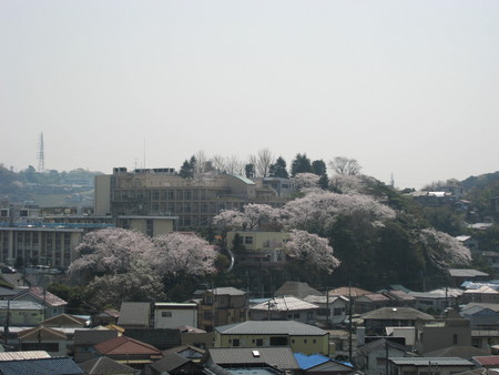 f:id:rintaromasuda:20070402072559j:image